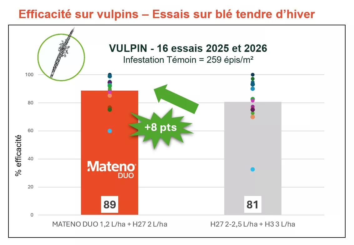 eff MD vulpin AB_ergot_Rich_Text_Editor.png